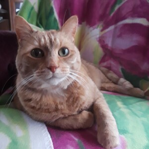 Fundraising Page: Marcia Mettert